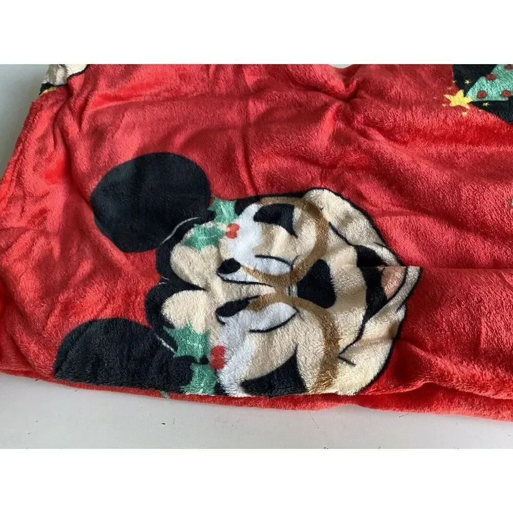 Jay Franco and Sons, Inc. disney mickey